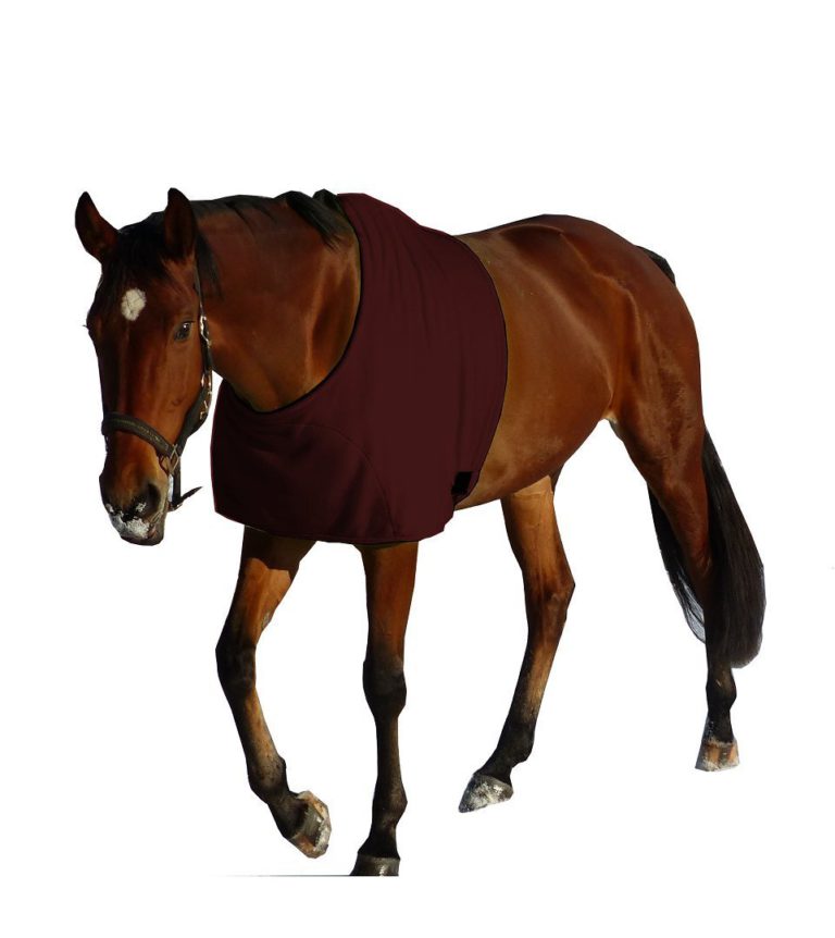 Produktbild von Start Pony Stalldecke Pferd, Unterdecke Pferd, Pferdedecke Stalldecke