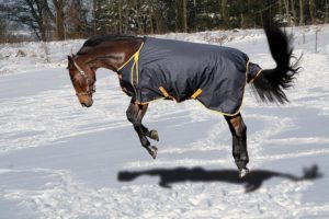 Winterdecken Pferd